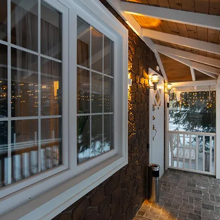 Freeman-3A - 4Місний Апартамент З Кухнею, Терасою, Грилем - На Увесь Перший Поверх Котеджу * Bukovel