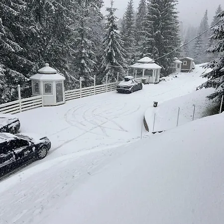 Apartment Freeman Bukovel: With Private Terrace Near R1 Lift Bukovel