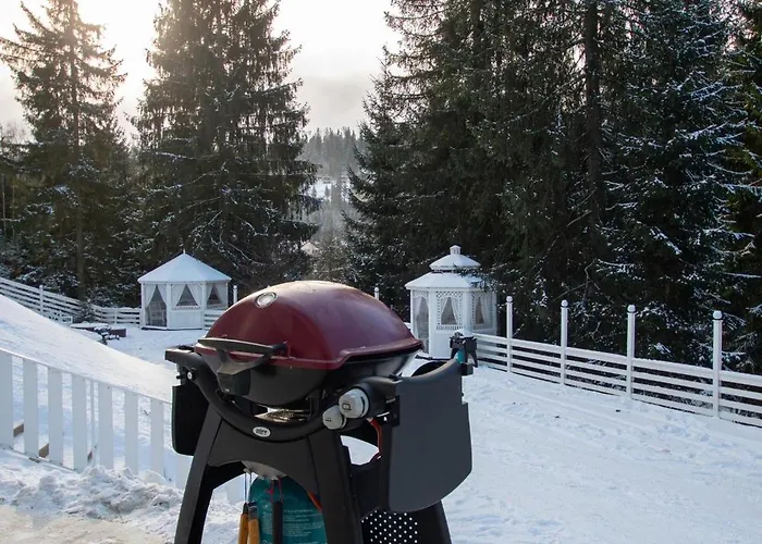 Apartment Freeman Bukovel: With Private Terrace Near R1 Lift Bukovel